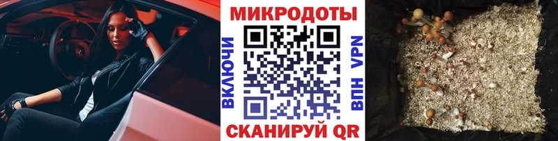 Псилоцибиновые грибы мицелий  Слободской 